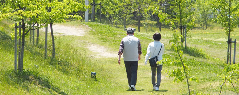 エンディングノートと遺言の違い